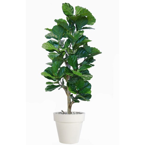 Planta semi-artificiala Ila, Ficus Lyrata Step Tree Green - 160 cm